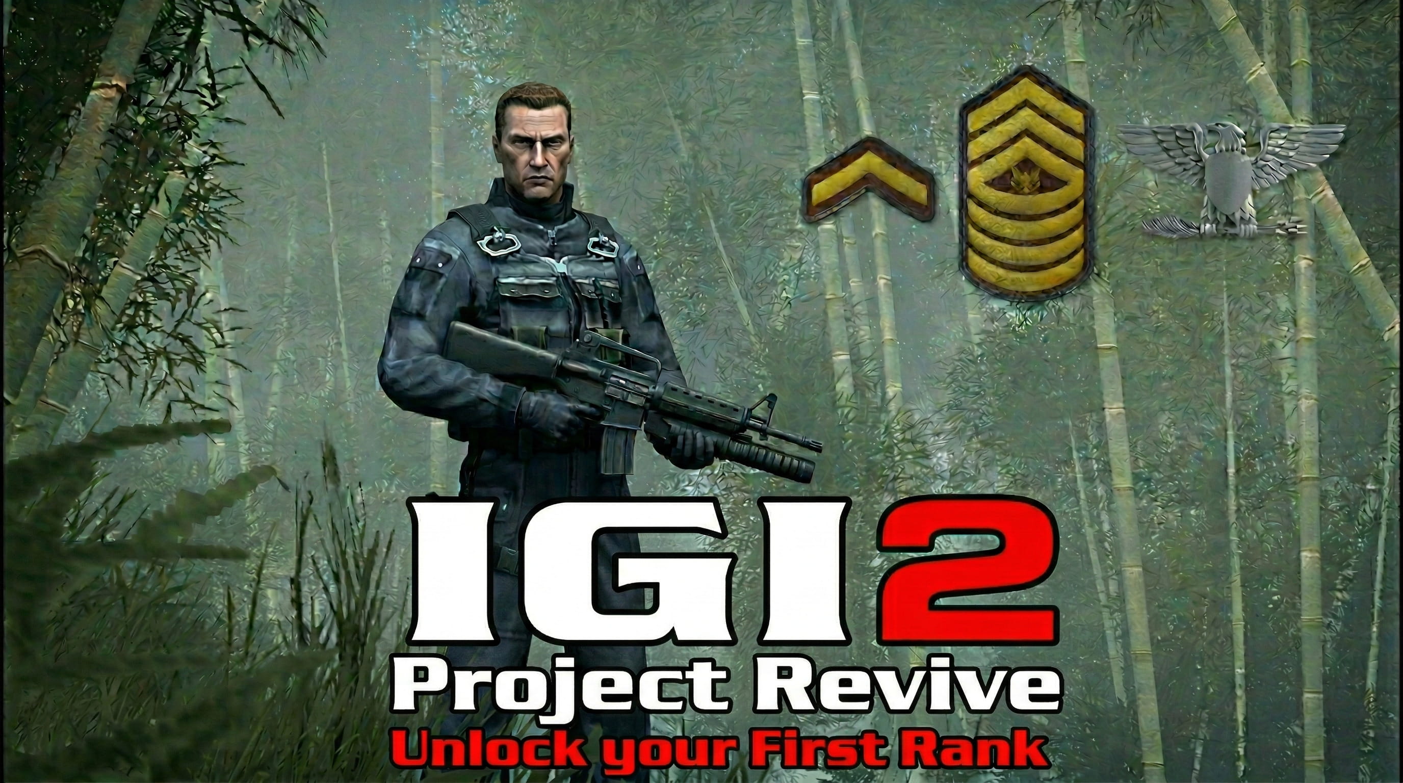 IGI2 Rank Hierarchy
